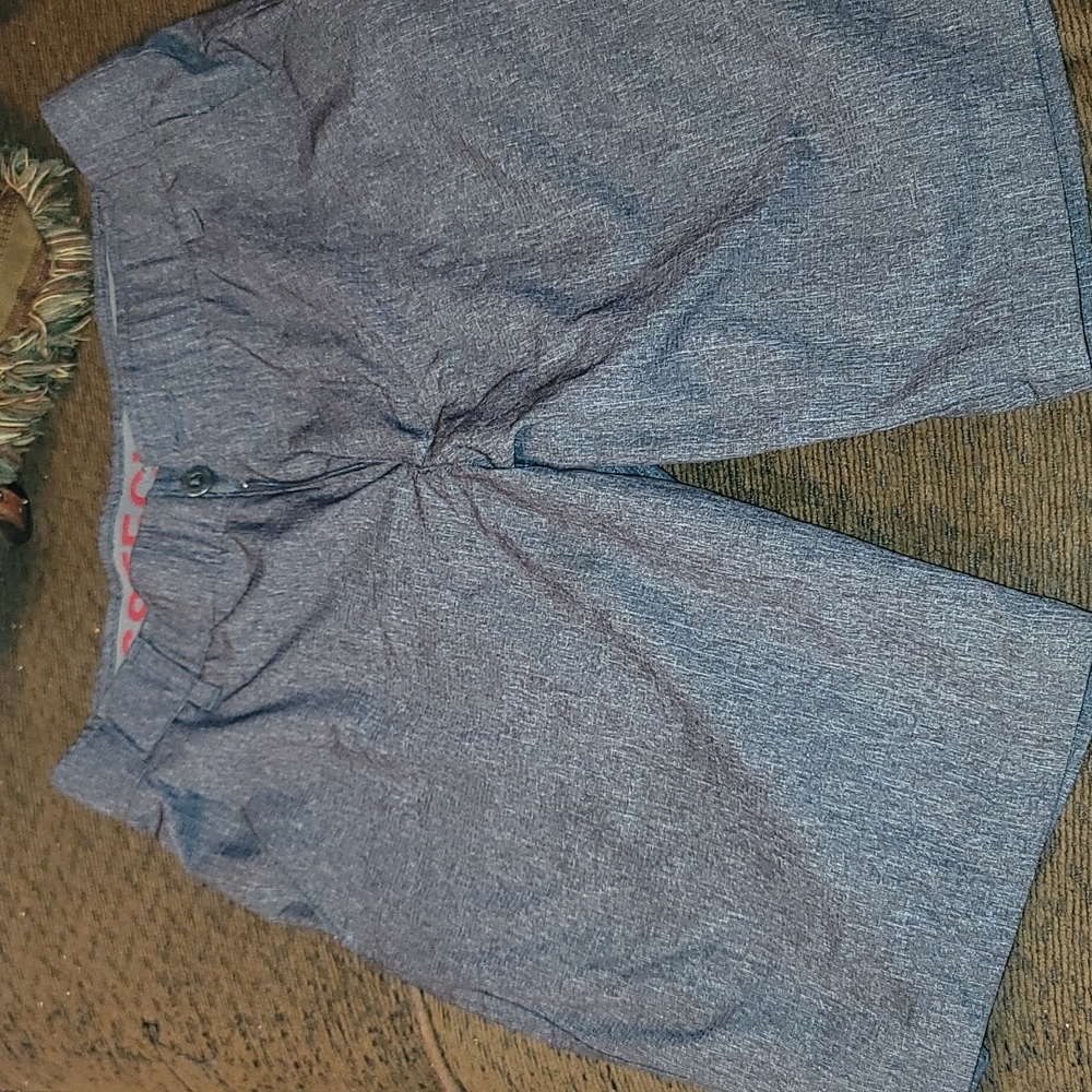 mens size 30 Swiss tech shorts!